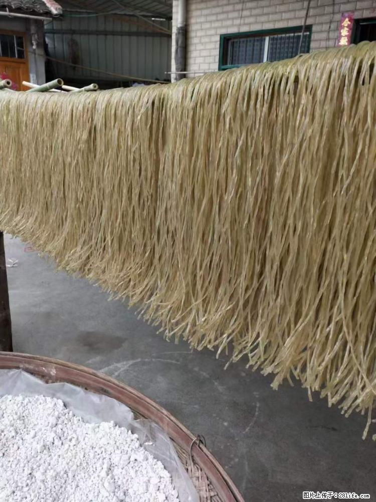【灌阳正宗红薯粉】美女家里自己做的，干净卫生，假一赔十，价格合理，抢购电话：13737312895 - 美食天地 - 邢台生活社区 - 邢台28生活网 xt.28life.net