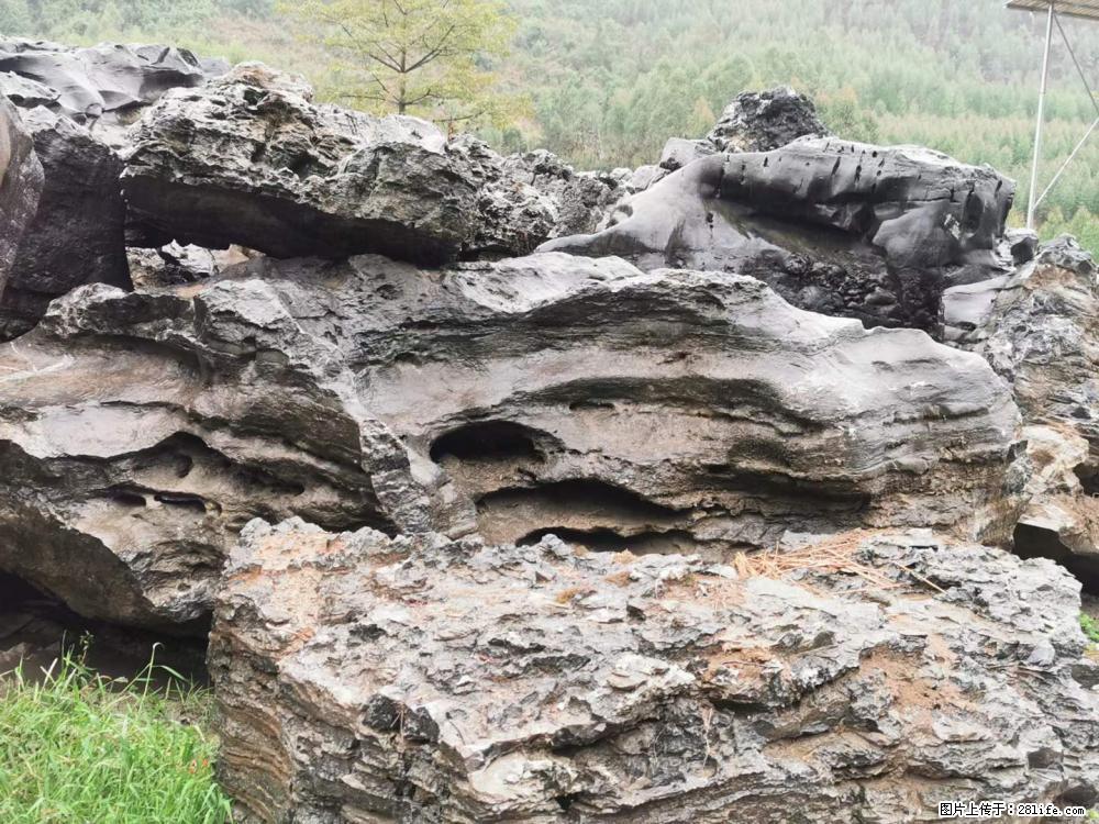 风景石、假山石大量有货，有需要的欢迎联系 - 新手上路 - 邢台生活社区 - 邢台28生活网 xt.28life.net