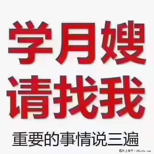 为什么要学习月嫂，育婴师？ - 其他广告 - 广告专区 - 邢台分类信息 - 邢台28生活网 xt.28life.net