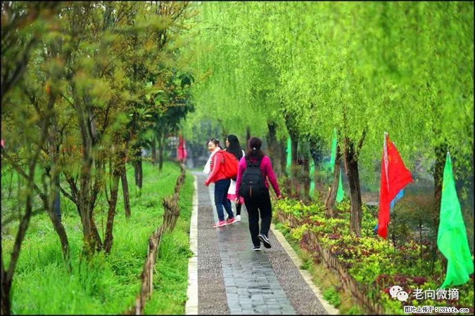 【春天，广西桂林灌阳县向您发出邀请！】江口老街又逢春 - 游山玩水 - 邢台生活社区 - 邢台28生活网 xt.28life.net
