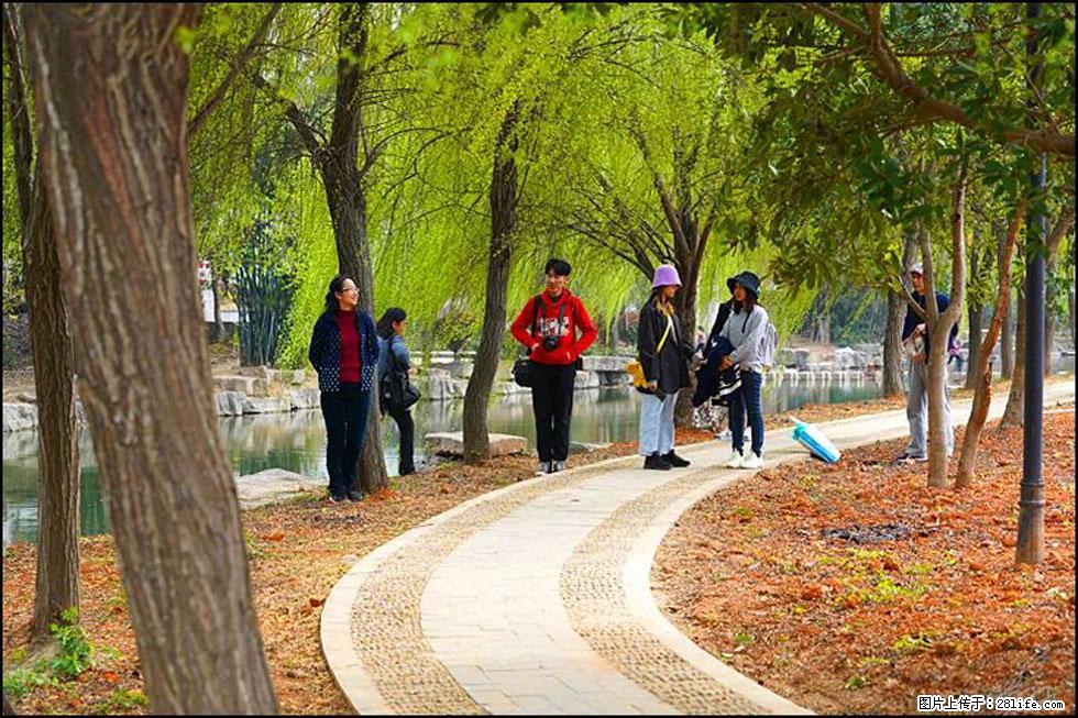 【春天，广西桂林灌阳县向您发出邀请！】江口老街又逢春 - 游山玩水 - 邢台生活社区 - 邢台28生活网 xt.28life.net