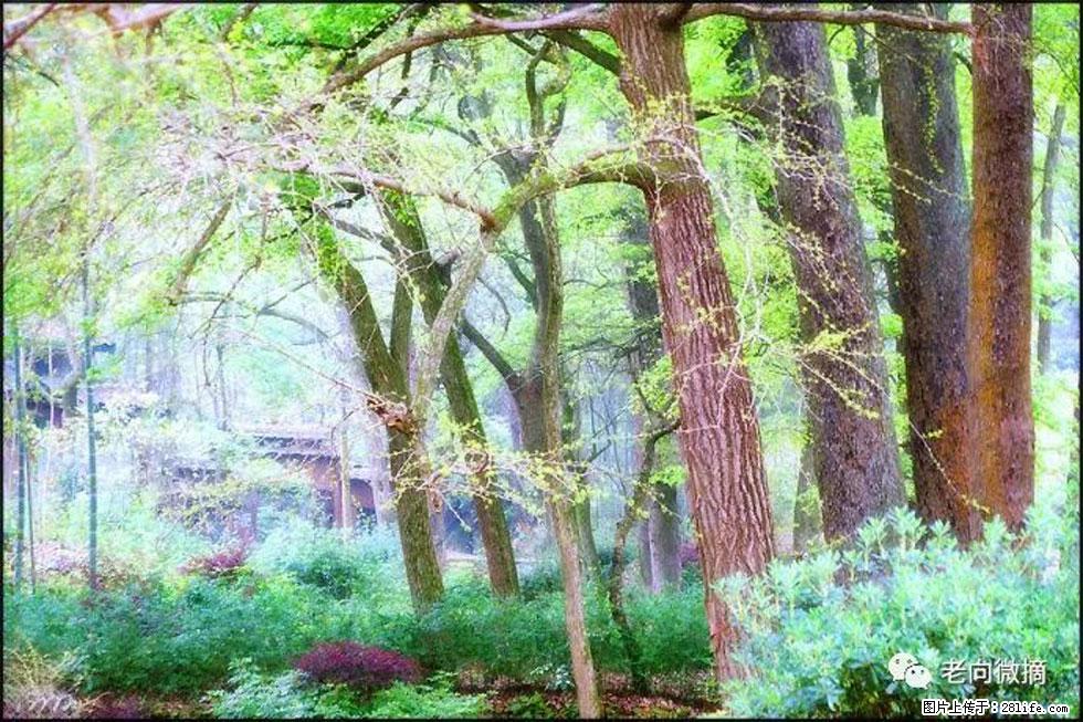 【春天，广西桂林灌阳县向您发出邀请！】在小龙村与春天约会 - 游山玩水 - 邢台生活社区 - 邢台28生活网 xt.28life.net