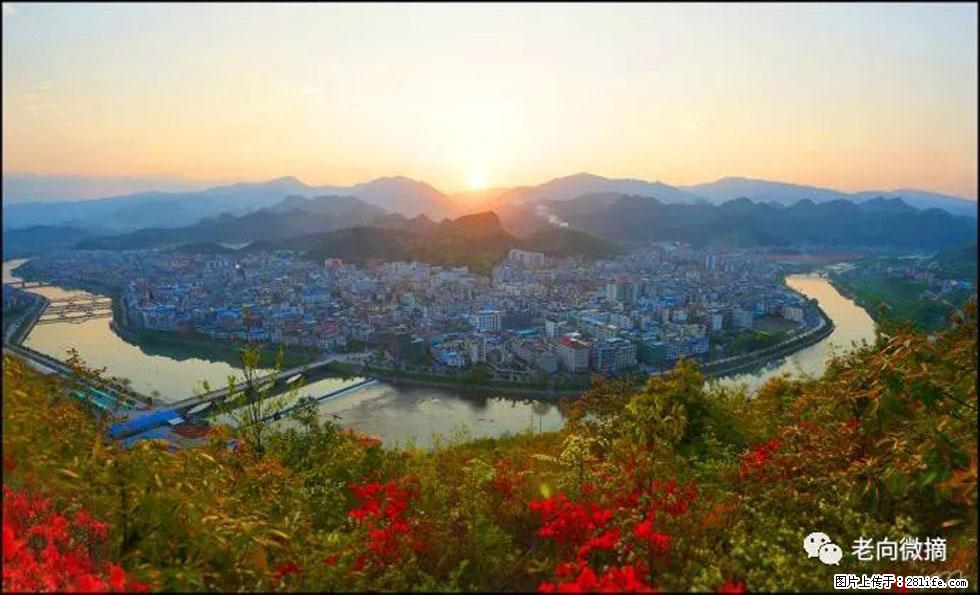 【春天，广西桂林灌阳县向您发出邀请！】登麒麟山，相约映山红 - 游山玩水 - 邢台生活社区 - 邢台28生活网 xt.28life.net