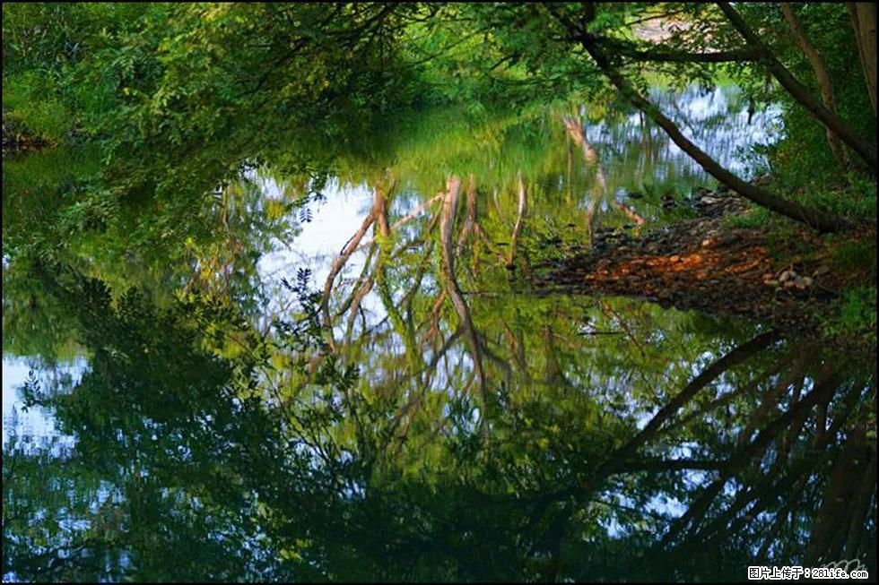 【春天,广西桂林灌阳县向您发出邀请!】熊家寨湿地公园 - 游山玩水 - 邢台生活社区 - 邢台28生活网 xt.28life.net