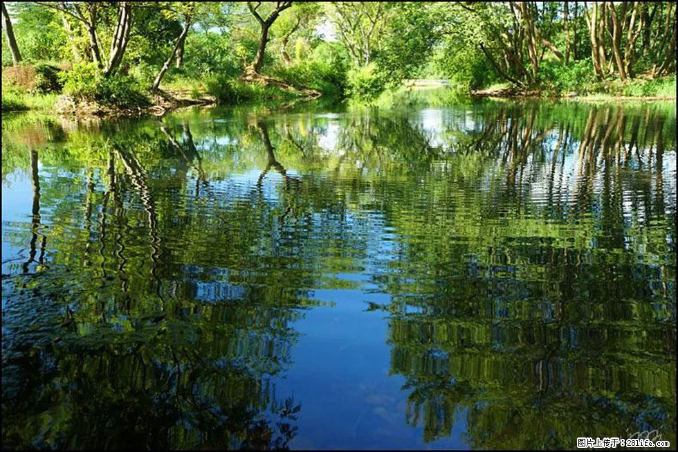 【春天,广西桂林灌阳县向您发出邀请!】熊家寨湿地公园 - 游山玩水 - 邢台生活社区 - 邢台28生活网 xt.28life.net