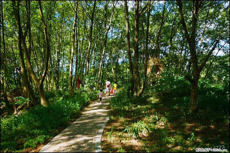 【春天,广西桂林灌阳县向您发出邀请!】熊家寨湿地公园 - 游山玩水 - 邢台生活社区 - 邢台28生活网 xt.28life.net