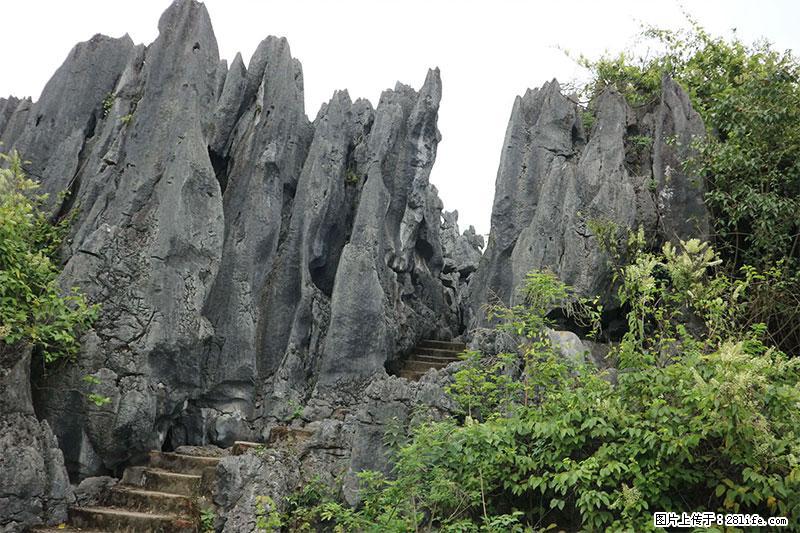 桂林旅游名城景点：灌阳文市石林 - 游山玩水 - 邢台生活社区 - 邢台28生活网 xt.28life.net