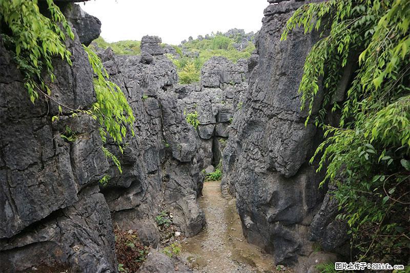 桂林旅游名城景点：灌阳文市石林 - 游山玩水 - 邢台生活社区 - 邢台28生活网 xt.28life.net
