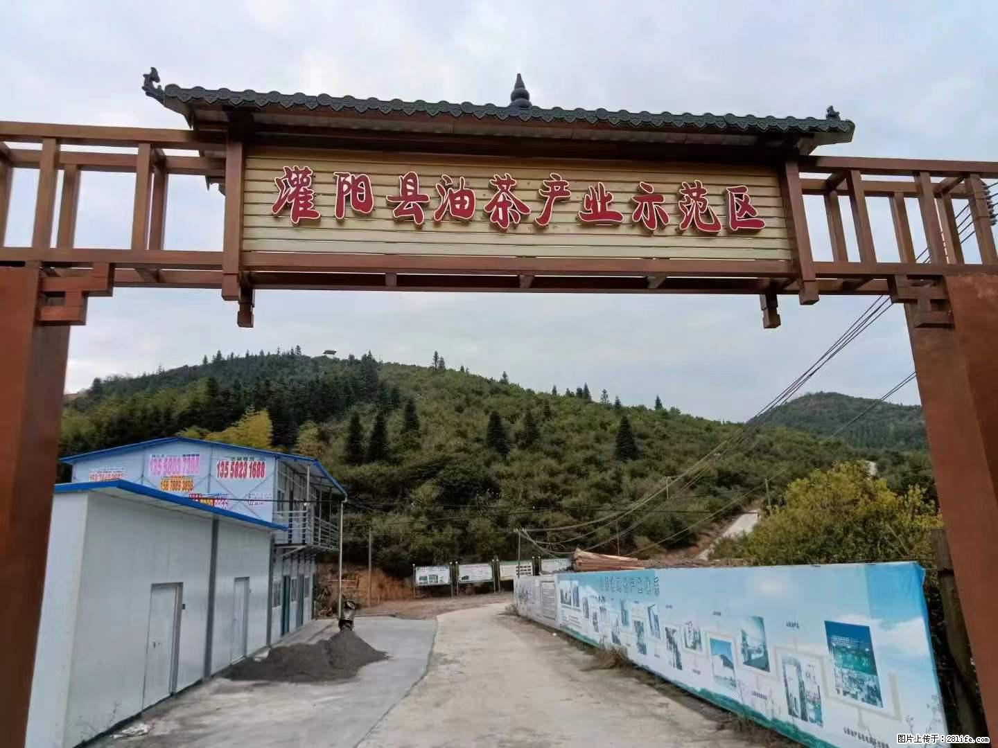 【灌阳县油茶产业示范区】一个有着充实的精神生活的人，对待身外之物自会有一种淡泊的态度 - 土特产 - 饮食特产 - 邢台分类信息 - 邢台28生活网 xt.28life.net