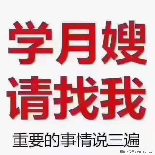为什么要学习月嫂，育婴师？ - 邢台28生活网 xt.28life.net