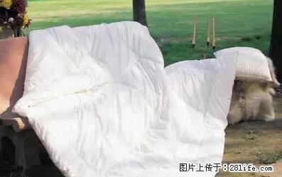 被子有异味？只要这样做，比晒太阳还强100倍！ - 家居生活 - 邢台生活社区 - 邢台28生活网 xt.28life.net