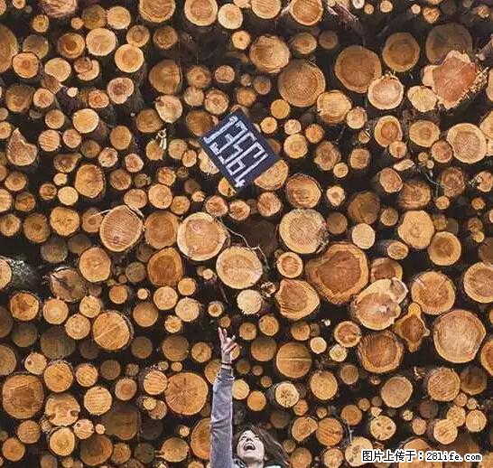 辞掉工作周游世界？现在他们在洗厕所…… - 游山玩水 - 邢台生活社区 - 邢台28生活网 xt.28life.net