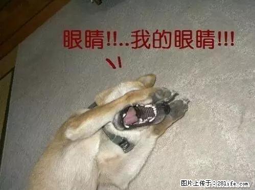 笑癫了！一女的怀孕三年未生，他终于忍不住了... - 娱乐八卦 - 邢台生活社区 - 邢台28生活网 xt.28life.net