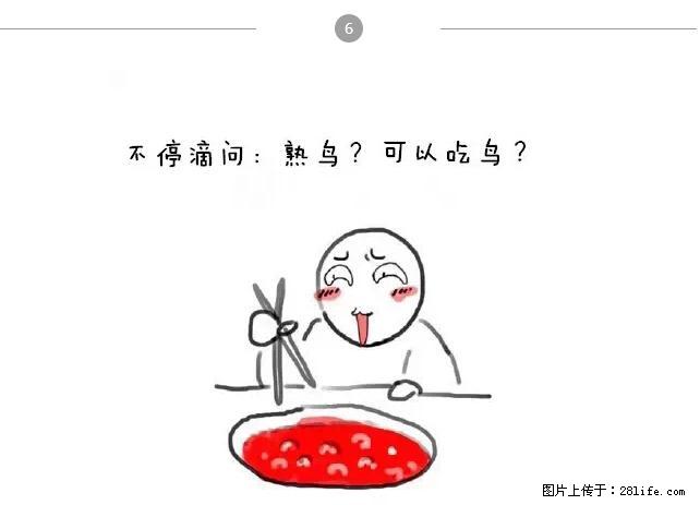 千万不要和这9种哈卵一起吃火锅！ - 美食天地 - 邢台生活社区 - 邢台28生活网 xt.28life.net