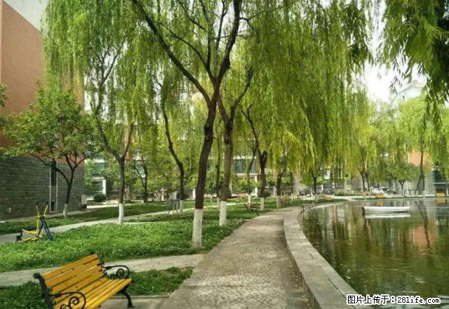 达活泉东门园林小区，128平精装三室，4层，家具家电齐全 - 房屋出租 - 房屋租售 - 邢台分类信息 - 邢台28生活网 xt.28life.net