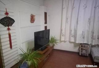 建工花园，两室两厅一卫，精装，家具家电齐全户型好，拎包入住 - 邢台28生活网 xt.28life.net