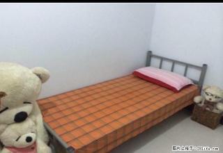 (单间出租)我不是中介 房间如图 免费无线网 - 邢台28生活网 xt.28life.net