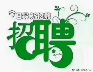 【招聘摄像师】待遇：试用期6000元/月，转正7000元/月+五险一金+餐补+节日福利+奖金 - 邢台28生活网 xt.28life.net
