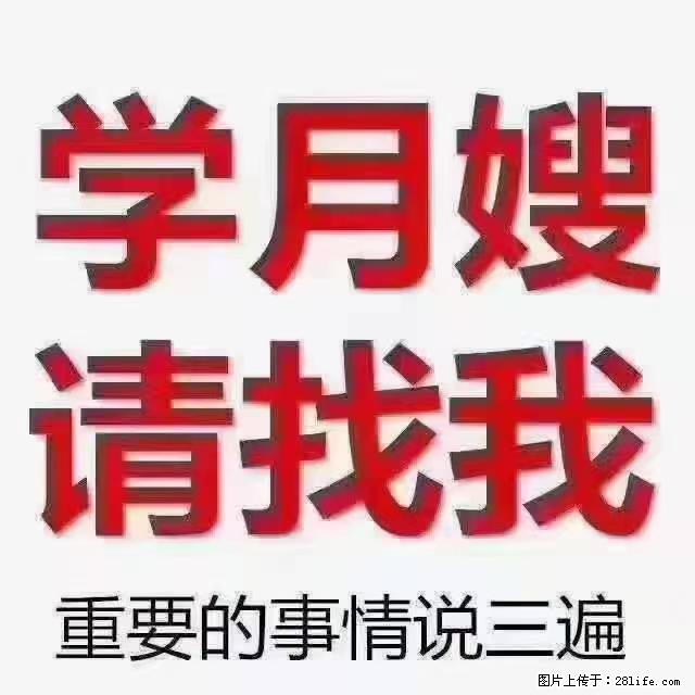 【招聘】月嫂，上海徐汇区 - 职场交流 - 邢台生活社区 - 邢台28生活网 xt.28life.net