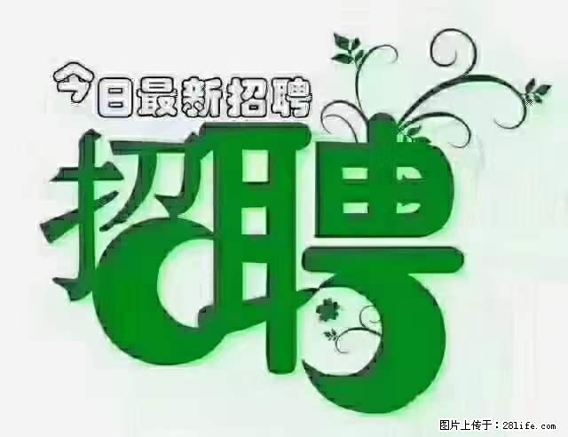 上海青浦区招仓管 - 职场交流 - 邢台生活社区 - 邢台28生活网 xt.28life.net