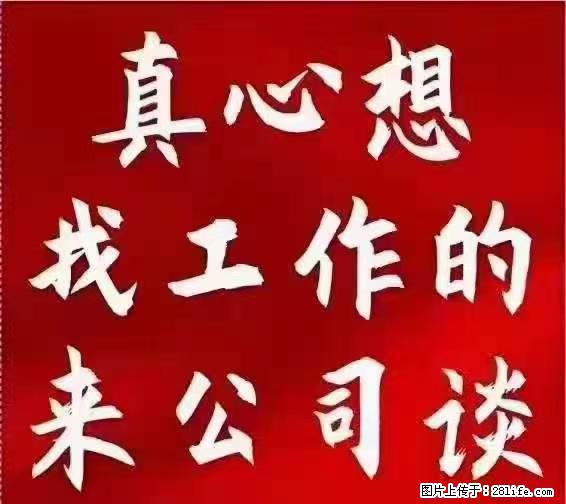 【上海】国企，医院招两名男保安，55岁以下，身高1.7米以上，无犯罪记录不良嗜好 - 职场交流 - 邢台生活社区 - 邢台28生活网 xt.28life.net