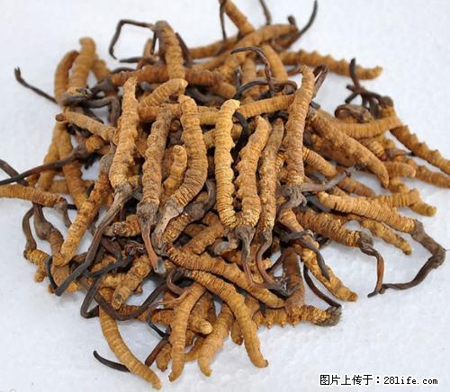 邢台24小时回收名酒的电话+邢台回收剑南春五粮液酒的门市 - 综合信息 - 其他综合 - 邢台分类信息 - 邢台28生活网 xt.28life.net