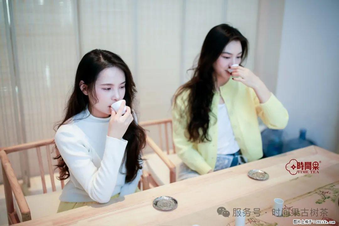 时间果百年古树龙珠普洱生茶 - 购物交流 - 邢台生活社区 - 邢台28生活网 xt.28life.net