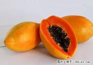 晕车、脚气、牙齿变黄、皮肤粗糙？学会这些三分钟搞定！ - 邢台生活资讯 - 邢台28生活网 xt.28life.net