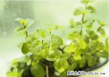晕车、脚气、牙齿变黄、皮肤粗糙？学会这些三分钟搞定！ - 邢台生活资讯 - 邢台28生活网 xt.28life.net