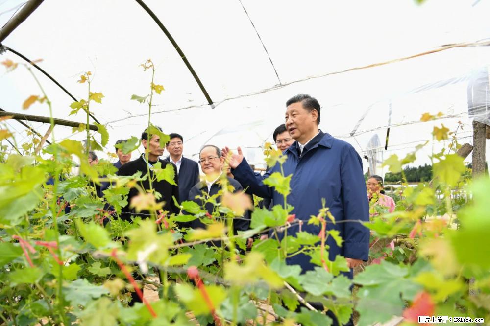 习近平赴广西考察调研 - 邢台生活资讯 - 邢台28生活网 xt.28life.net