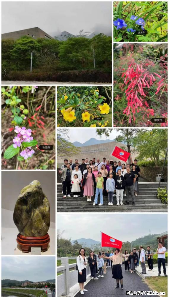 “粤灌文化 美好生活”油茶文化主题活动在广东深圳成功举办 - 邢台生活资讯 - 邢台28生活网 xt.28life.net