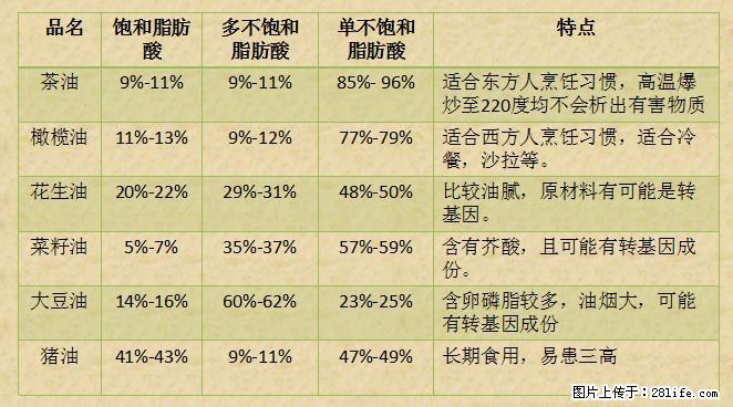 揭秘茶油的5大核心营养成分！被称为人体健康的“守护盾”！ - 邢台生活资讯 - 邢台28生活网 xt.28life.net
