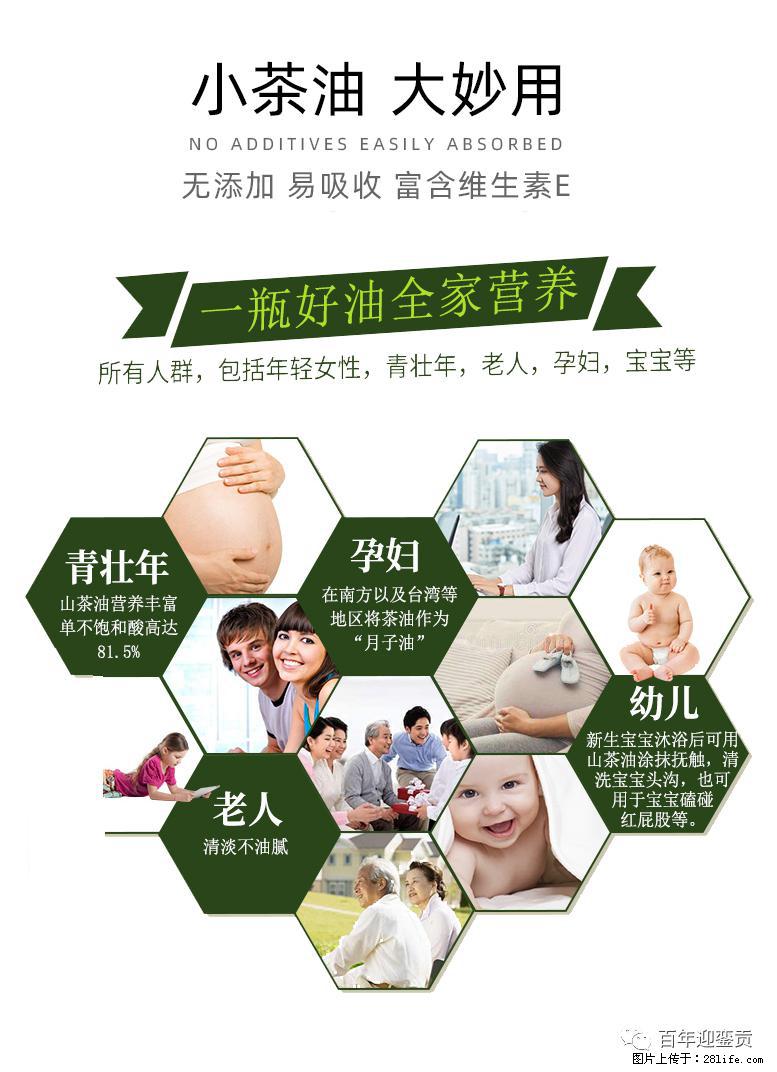 世界没有真相，只有认知，最好的食用油是中国的山茶油！ - 邢台生活资讯 - 邢台28生活网 xt.28life.net