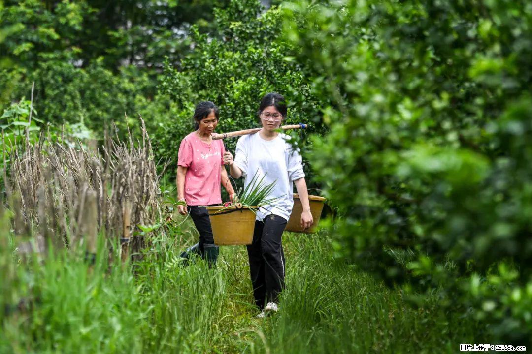 全网追的“扁担女孩”，找了一份暑假工，时薪12元 - 邢台生活资讯 - 邢台28生活网 xt.28life.net