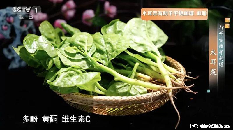 比牛奶补钙还厉害！凉血解毒、稳血糖...这菜冬天必吃，很多人却当草 - 邢台生活资讯 - 邢台28生活网 xt.28life.net