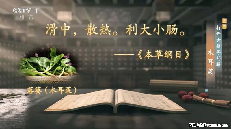 比牛奶补钙还厉害！凉血解毒、稳血糖...这菜冬天必吃，很多人却当草 - 邢台生活资讯 - 邢台28生活网 xt.28life.net