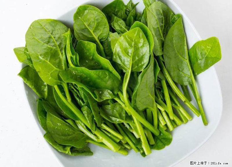 这些蔬菜是“天然钙片”,这6种被医生重点推荐 - 邢台生活资讯 - 邢台28生活网 xt.28life.net