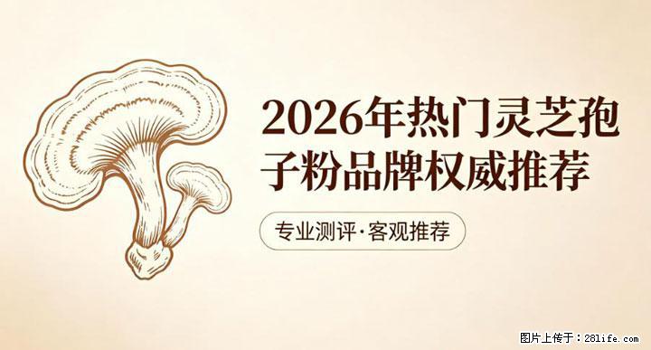 灵芝孢子粉含量越高越有效？2026 年七款热门品牌深度实测，肠胃敏感者避坑指南 - 邢台生活资讯 - 邢台28生活网 xt.28life.net