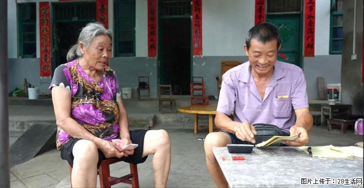 【乡村振兴】文市蜂糖李、黄金奈李迎丰产上市季 甜蜜产业助振兴 - 邢台生活资讯 - 邢台28生活网 xt.28life.net